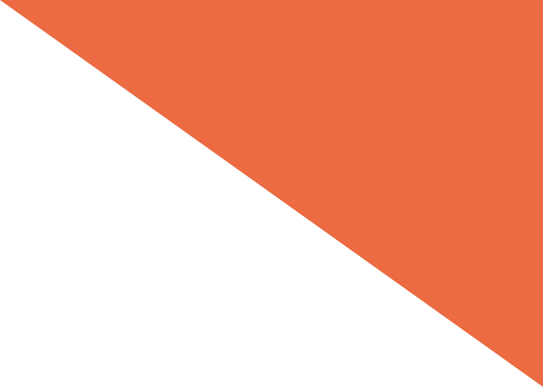 Decorative triangle in Magroove's orange color